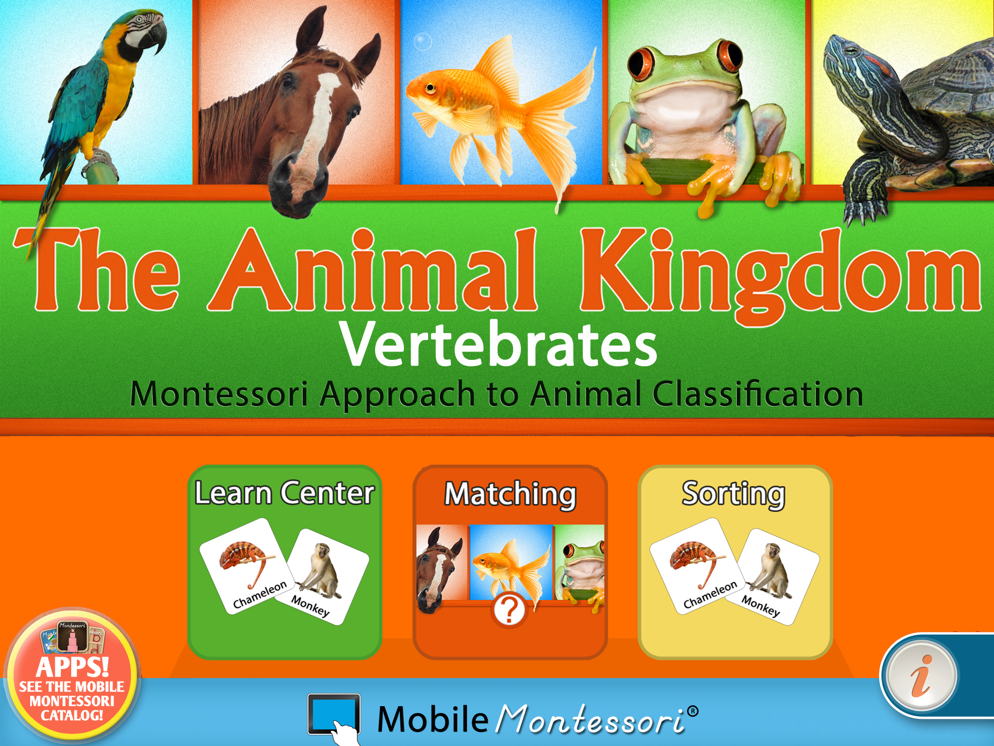 KingdomVertiPad-SC8-reg.png
