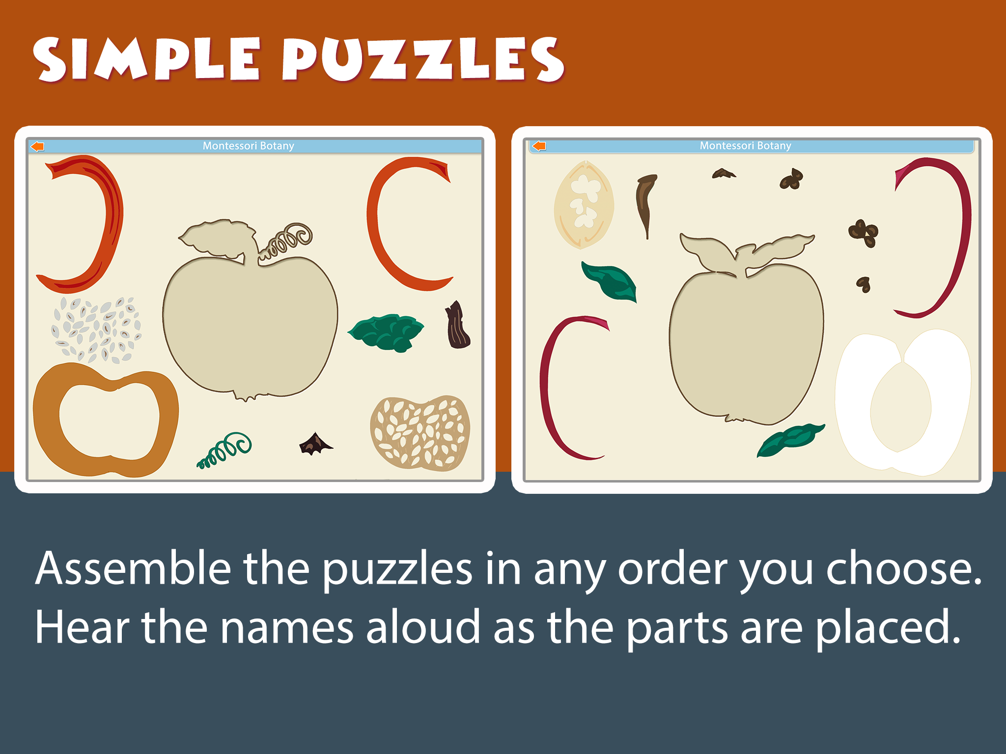 Fruits-SC5-ipad-reg.png