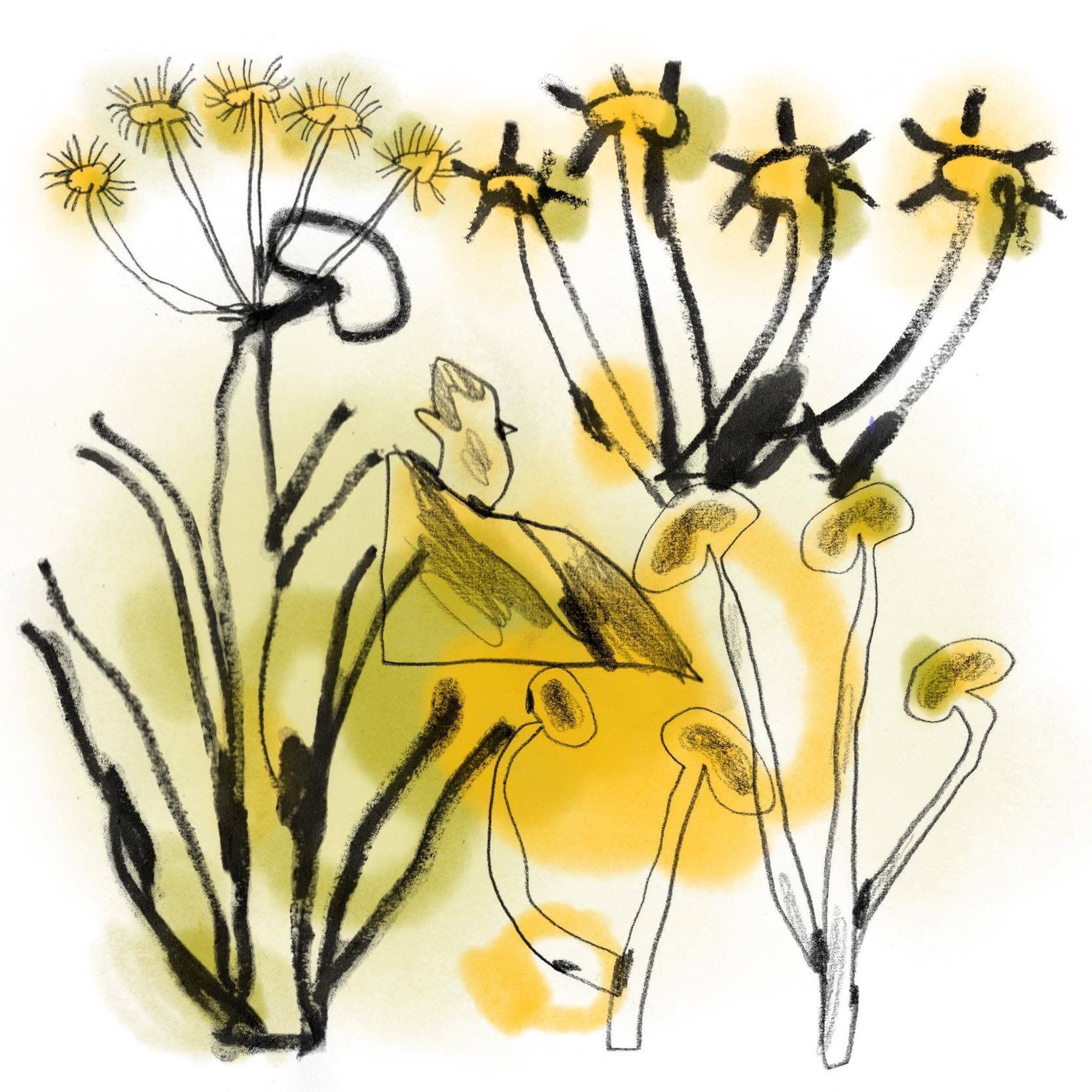 plants_3.jpg