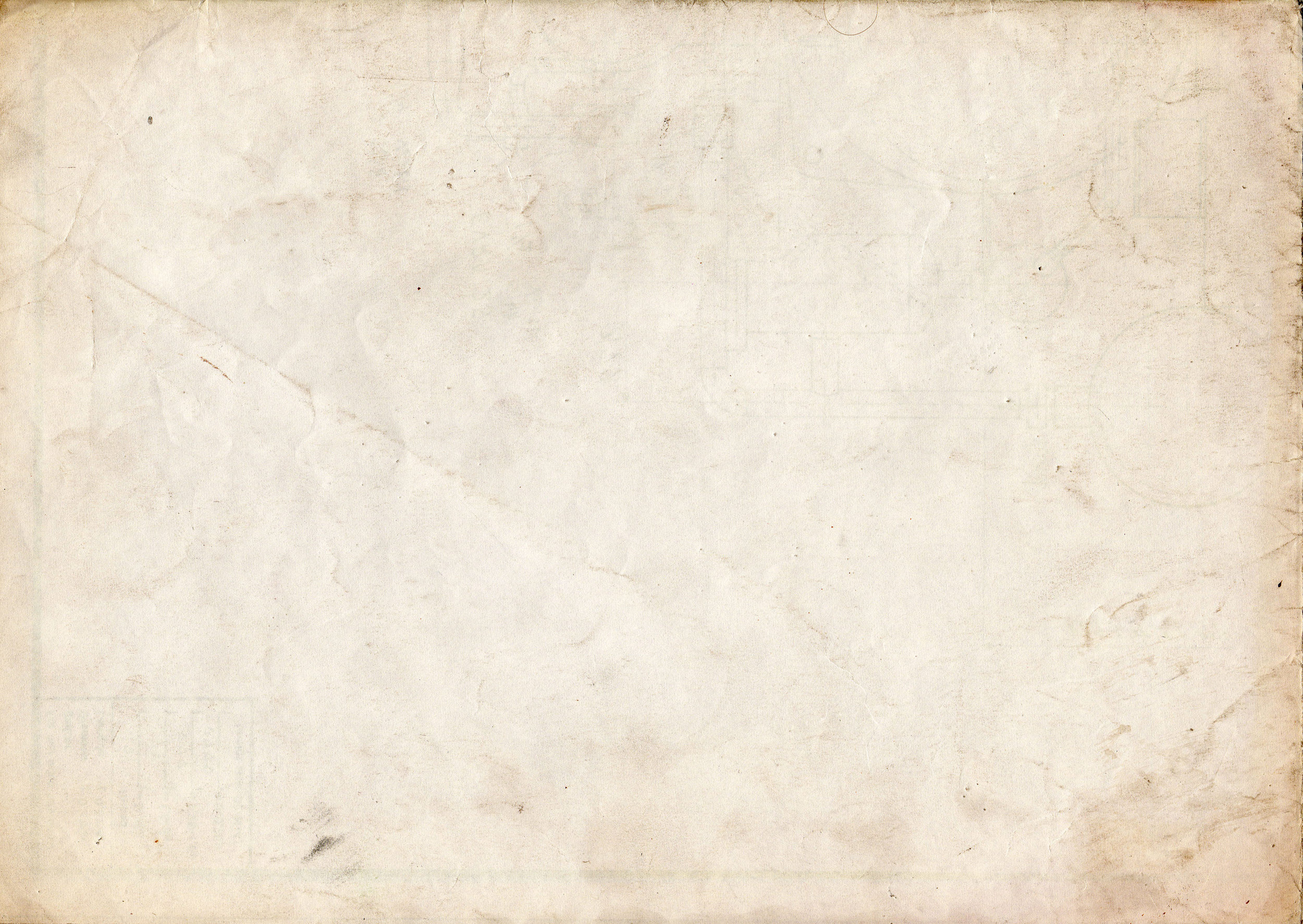 paper_texture_v5_by_bashcorpo.jpg