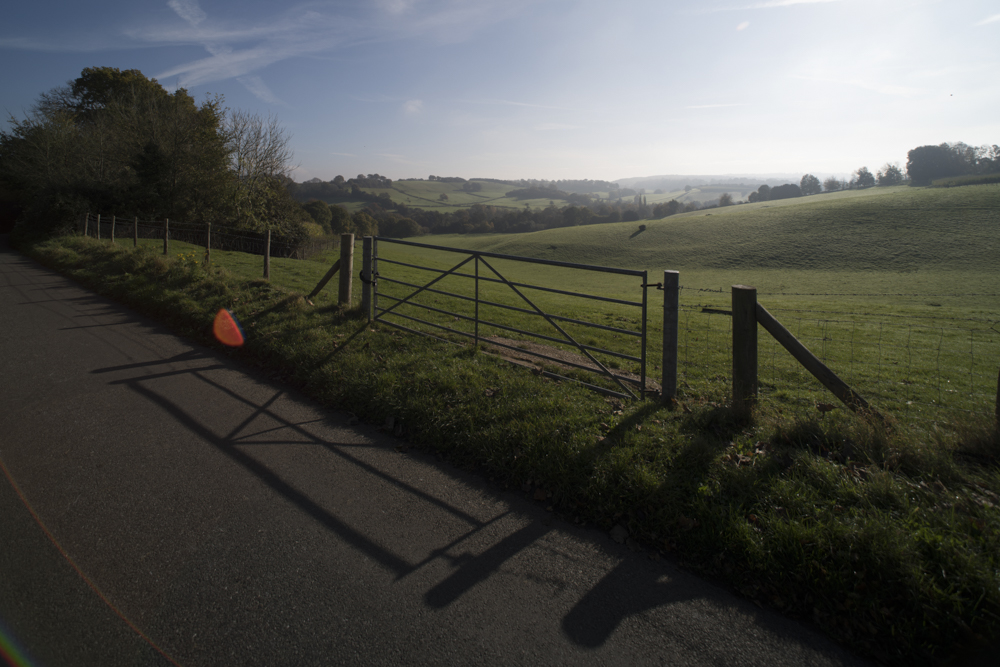 laowa 15mm f4 TS lens sample images web 18.jpg