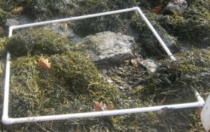 plot-1-300x188.jpg