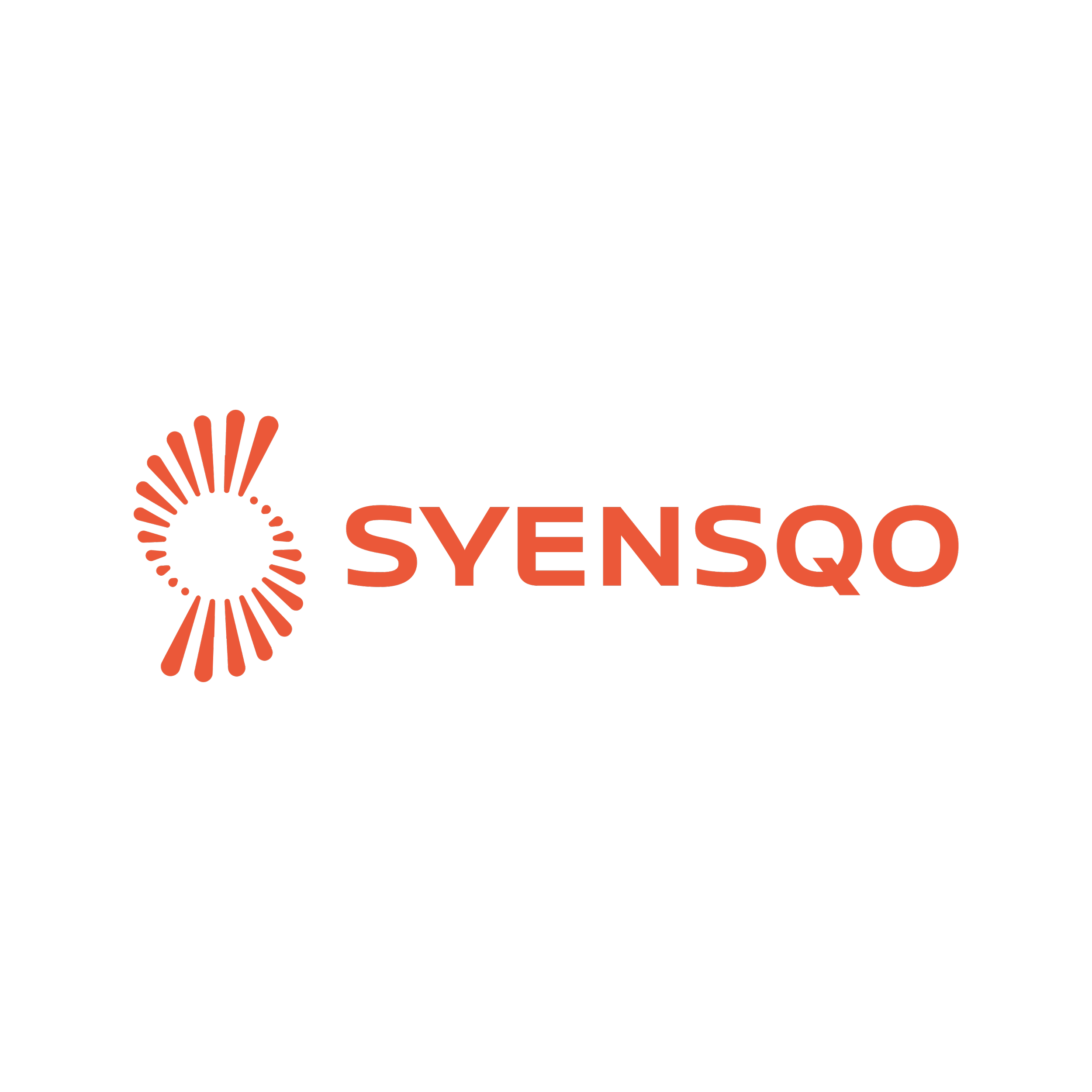 Synsqo for website.png