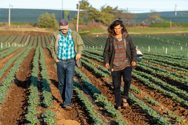 Ecofarm-2020-257-BrokenBanjo-650px.jpg