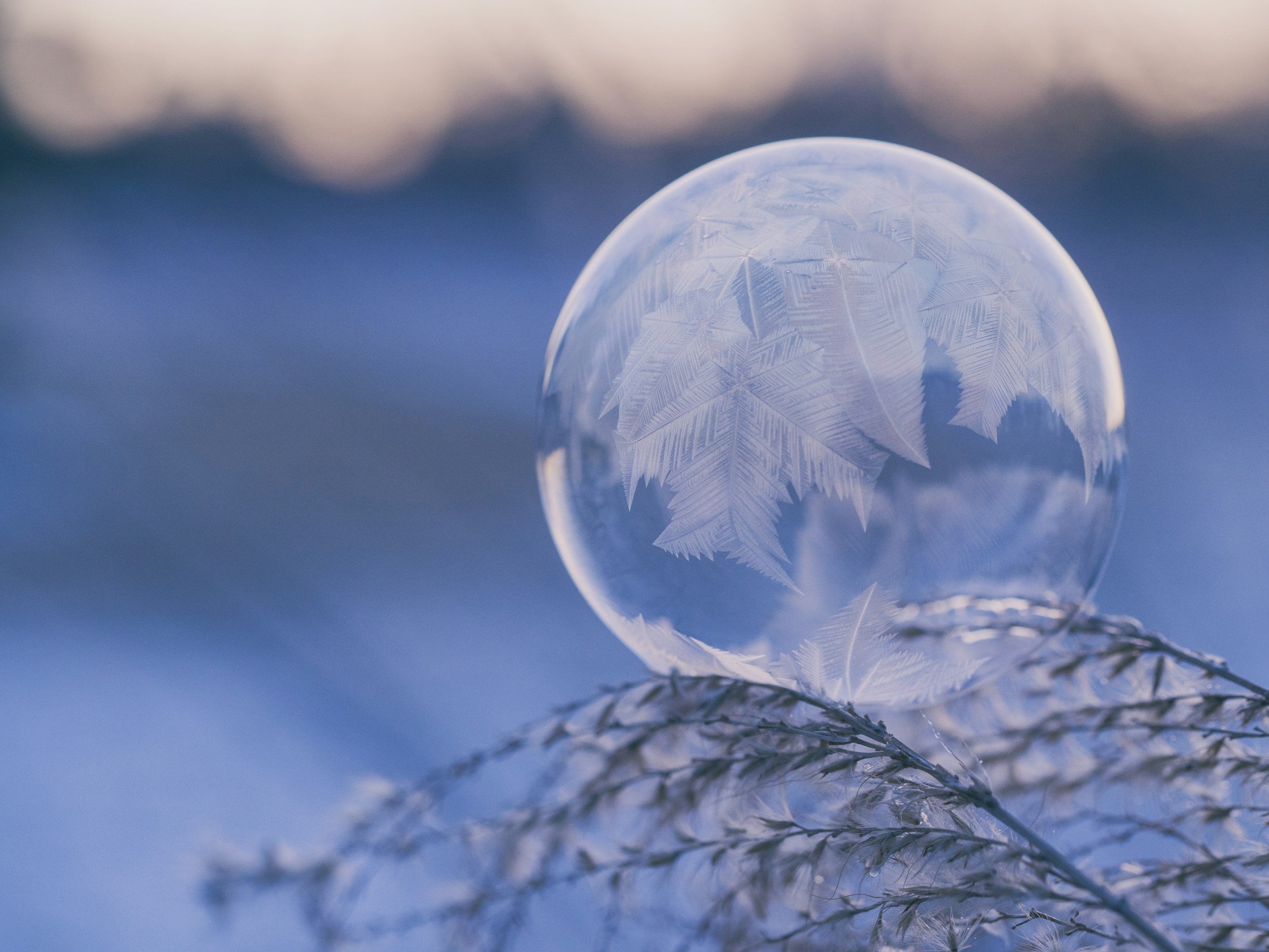 Strengthening Your Energy Shield: Insights from a Psychic Protection Seminar